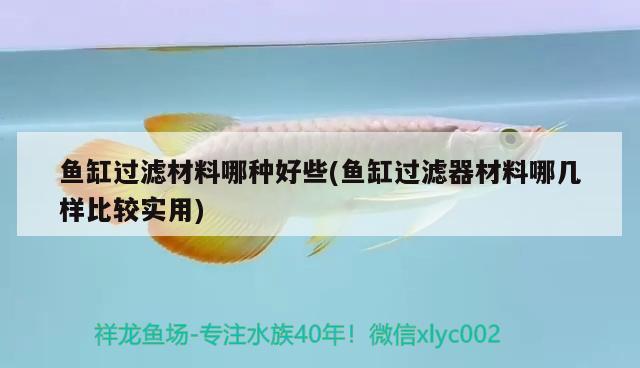 魚缸過濾材料哪種好些(魚缸過濾器材料哪幾樣比較實(shí)用) 鴨嘴鯊魚