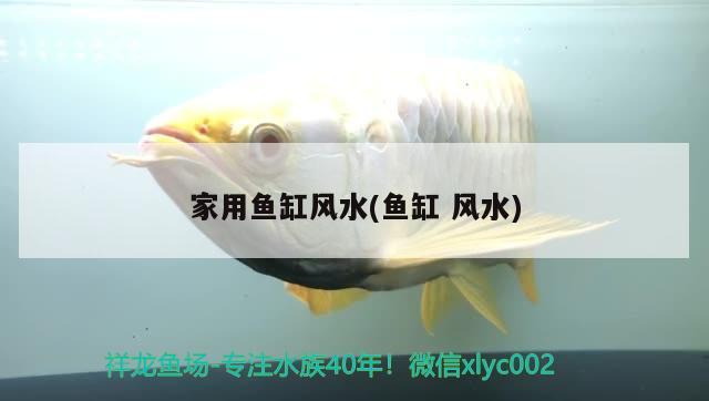 家用魚缸風(fēng)水(魚缸風(fēng)水) 魚缸風(fēng)水