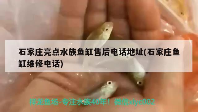 魚(yú)缸水泵多少錢(qián)一臺(tái)家用（魚(yú)缸水泵多少錢(qián)一臺(tái)家用的）