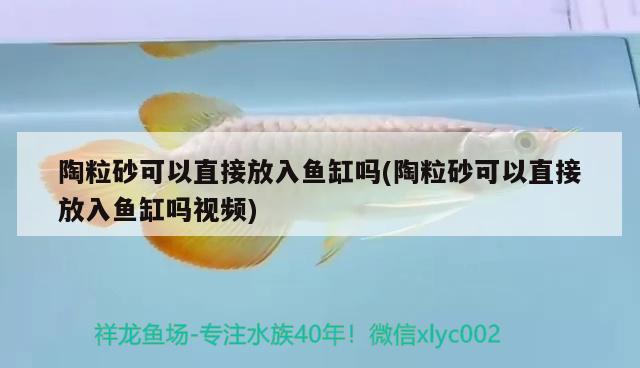 水族箱過濾系統(tǒng)（水族箱過濾系統(tǒng)不出水） 養(yǎng)魚知識 第3張