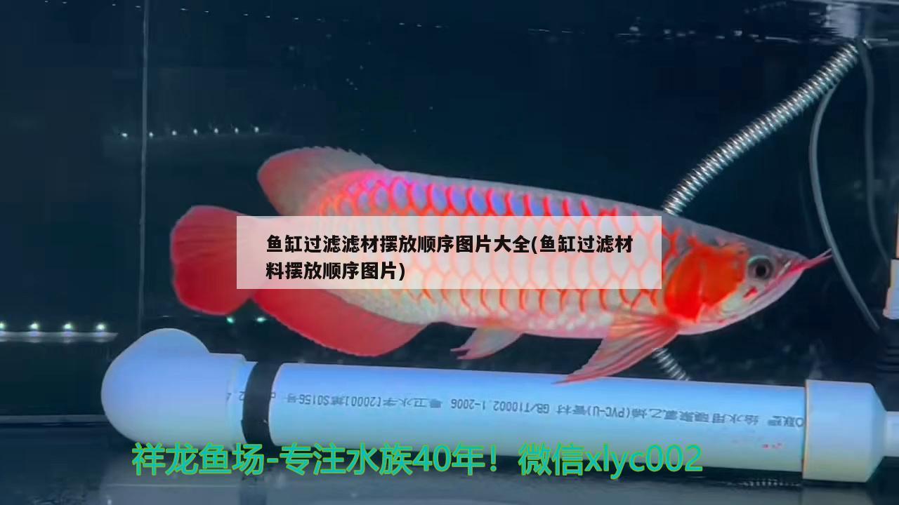 魚缸過濾濾材擺放順序圖片大全(魚缸過濾材料擺放順序圖片)