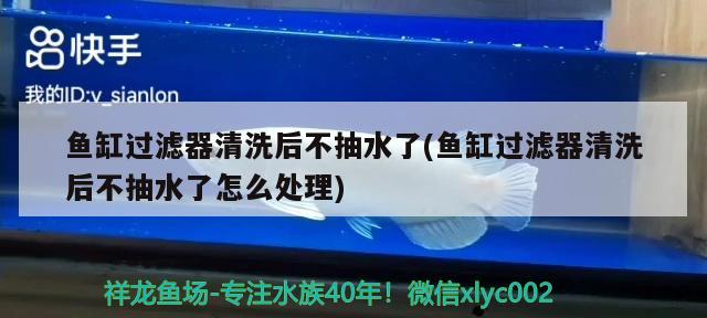 魚(yú)缸過(guò)濾器清洗后不抽水了(魚(yú)缸過(guò)濾器清洗后不抽水了怎么處理)