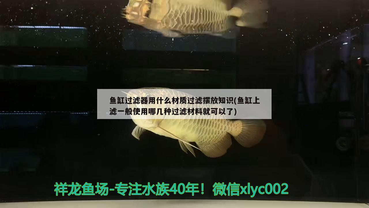 魚缸過濾器用什么材質(zhì)過濾擺放知識(shí)(魚缸上濾一般使用哪幾種過濾材料就可以了) 黃金鴨嘴魚