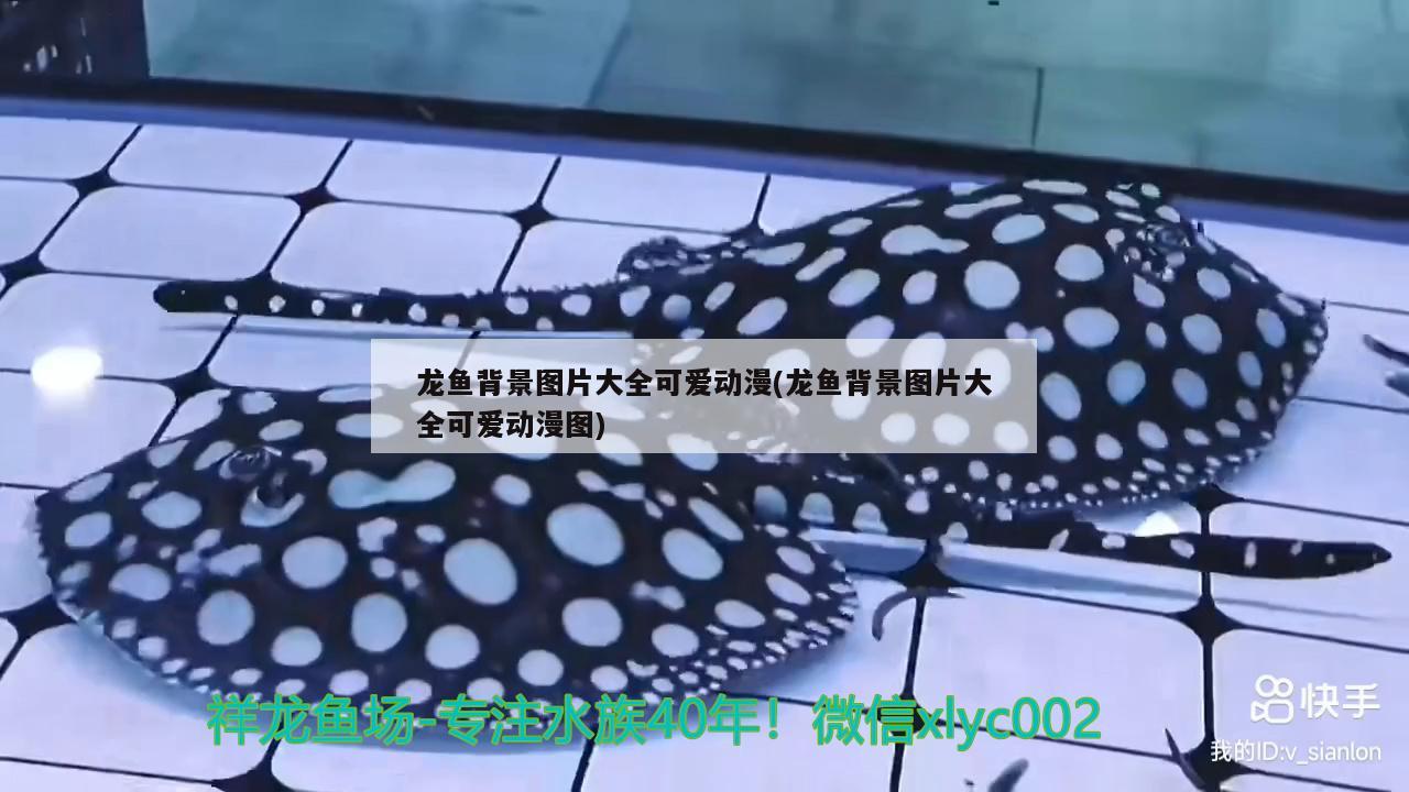 龍魚背景圖片大全可愛動漫(龍魚背景圖片大全可愛動漫圖) 定時器/自控系統(tǒng)