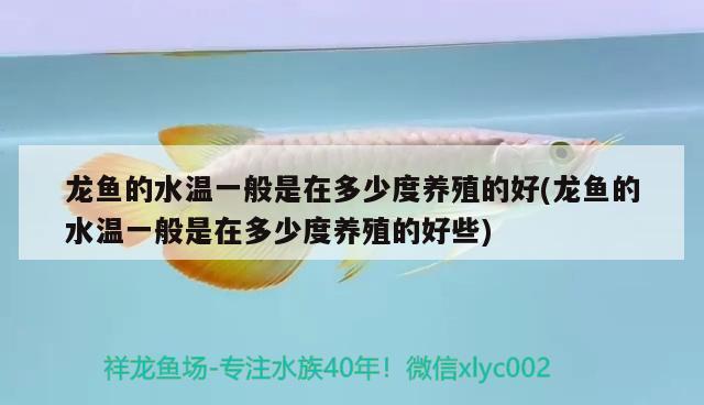 家里舊魚缸可以賣掉嗎(家里舊魚缸可以賣掉嗎視頻)