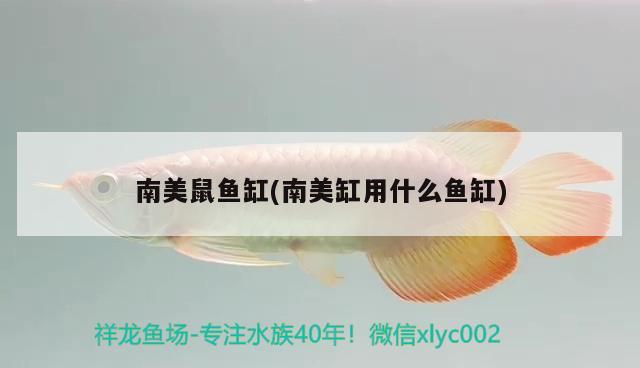 南京市玄武區(qū)祖蓮禮品店 全國水族館企業(yè)名錄 第1張