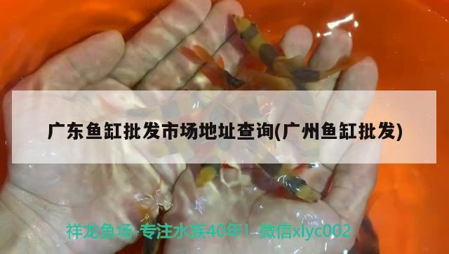 魚缸增氧泵水位圖片大全（魚缸增氧泵水位圖片大全視頻） 海水魚 第3張