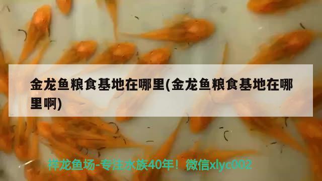 魚缸能不能見太陽光：我家魚缸位置不見陽光，魚缸上用加紫外線燈嗎