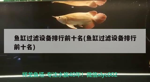 魚缸過濾設(shè)備排行前十名(魚缸過濾設(shè)備排行前十名) 過濾設(shè)備