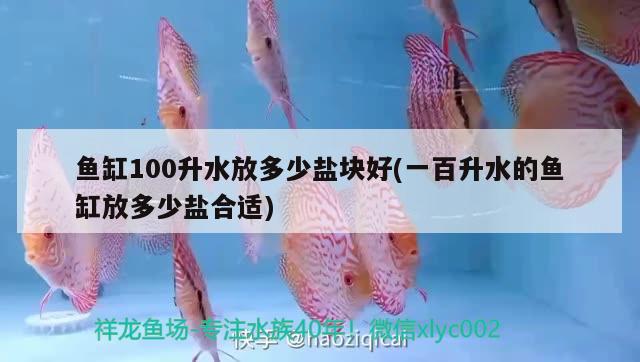 魚缸100升水放多少鹽塊好(一百升水的魚缸放多少鹽合適) 星點(diǎn)金龍魚