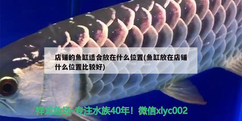 店鋪的魚缸適合放在什么位置(魚缸放在店鋪什么位置比較好) 水族品牌