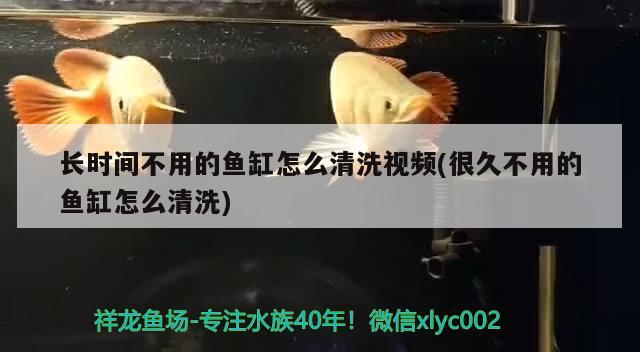 龍魚水溫低于多少度會(huì)死亡，龍魚水溫低于20度會(huì)怎樣