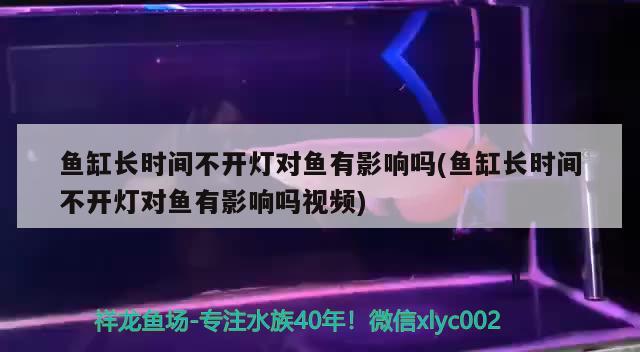 帶隔斷的魚缸好換水嗎，為什么有人說“煙灰缸里永遠(yuǎn)不要倒水”