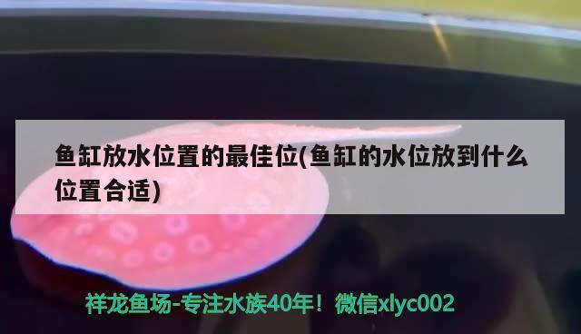 魚缸放水位置的最佳位(魚缸的水位放到什么位置合適) 名貴錦鯉魚