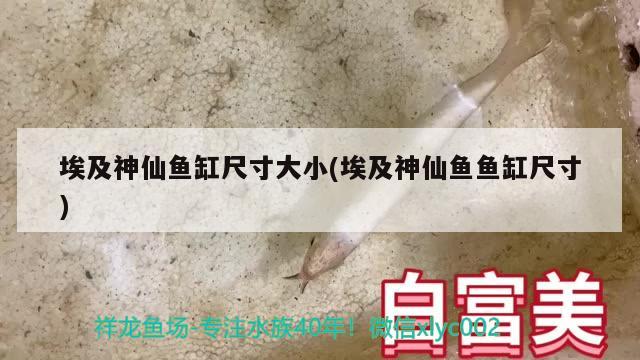 順豐快遞郵寄物品如何收費(fèi)的，順豐快遞郵寄如何收費(fèi)的 羅漢魚批發(fā) 第1張