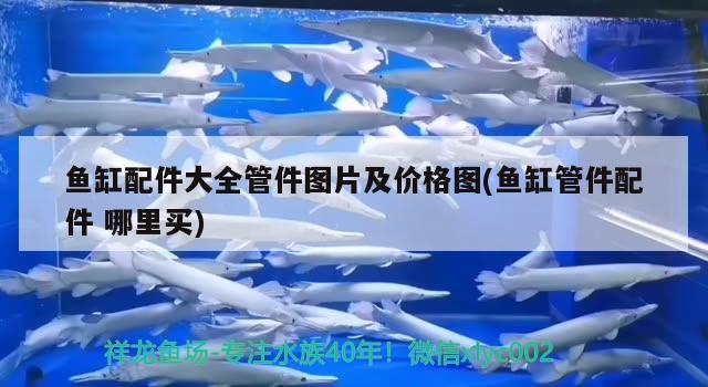 魚缸配件大全管件圖片及價格圖(魚缸管件配件哪里買) 銀龍魚