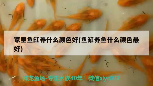 常溫觀賞魚種類有什么，怎樣養(yǎng)好七彩