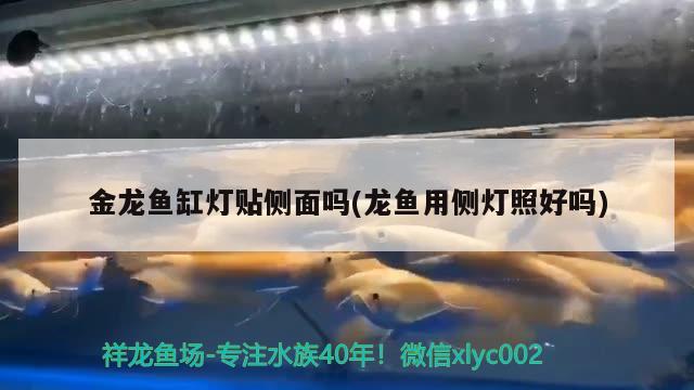 ?？谑卸ㄖ启~缸價格表圖（?？谀睦镔I魚缸）