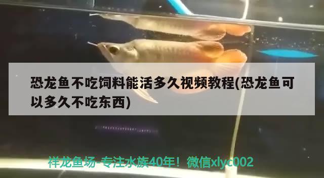 魚缸改下過濾示意圖：魚缸改上濾步驟或圖片