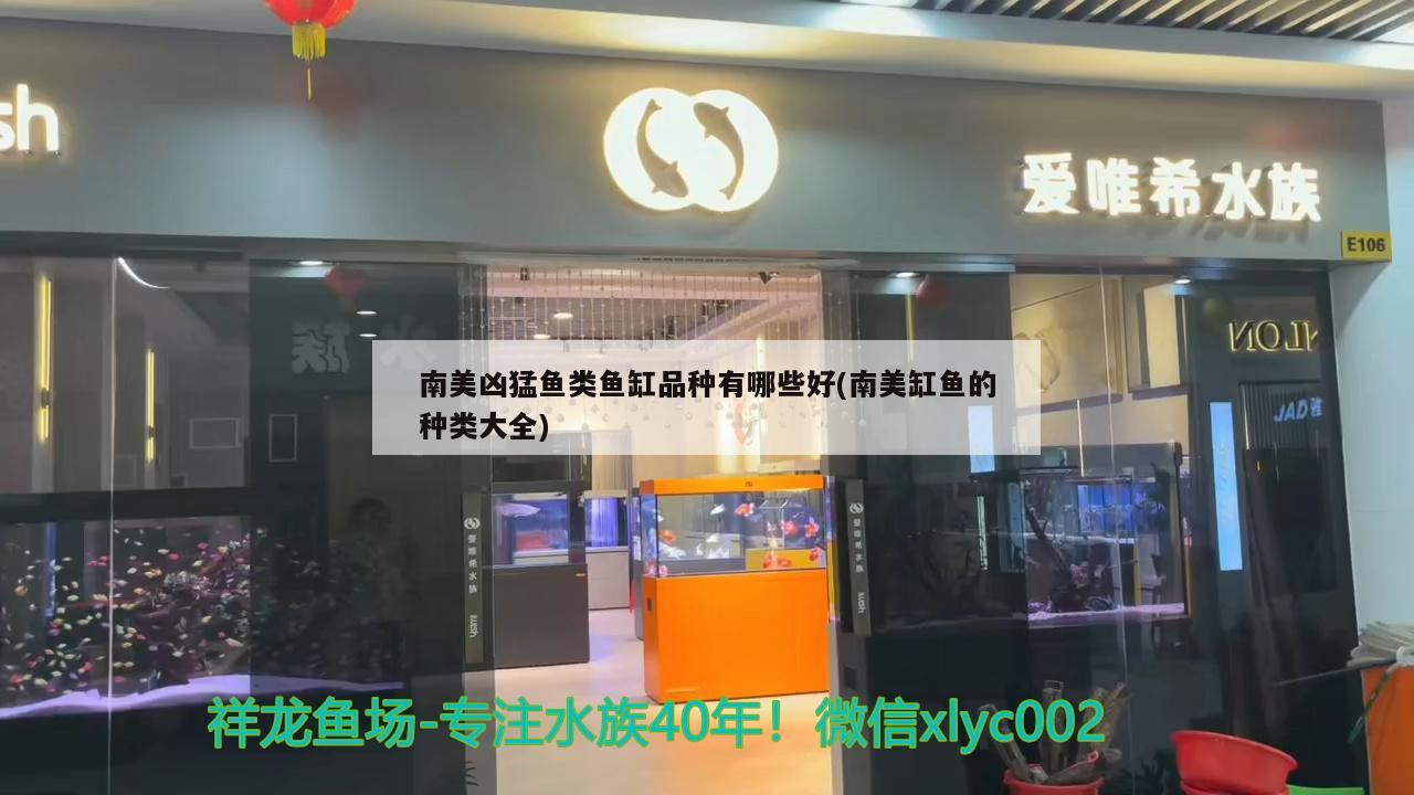 陜西省西安市長(zhǎng)樂(lè)中路義烏釣魚(yú)人漁具店鄒城釣魚(yú)人漁具店（西安漁具批發(fā)市場(chǎng)） 垂釣樂(lè)園 第1張