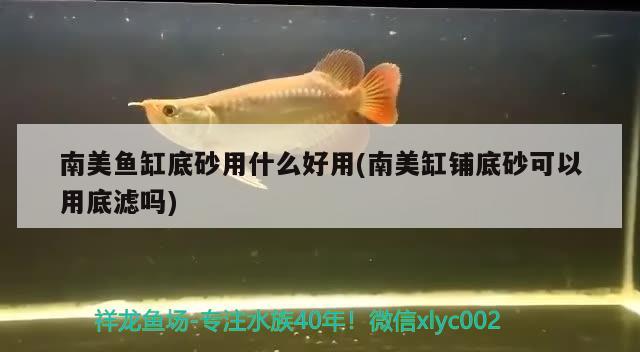 南美魚缸底砂用什么好用(南美缸鋪底砂可以用底濾嗎) 白化火箭