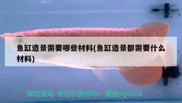 魚缸造景需要哪些材料(魚缸造景都需要什么材料)