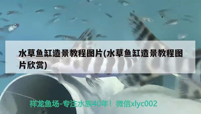 誰清楚茶幾魚缸定做一般需要多少錢，長沙魚缸定制哪家的價格劃算