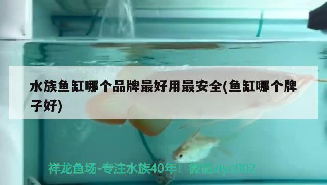 水族魚缸哪個品牌最好用最安全(魚缸哪個牌子好) 白寫錦鯉魚