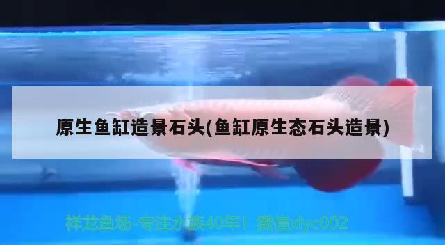 魚缸增氧泵壞了怎么修理視頻教程：魚缸增氧泵的工作原理 養(yǎng)魚的好處 第1張