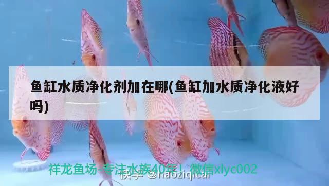 紅海魚缸組裝教程（紅海魚缸組裝教程）紅海魚缸組裝教程，新買的紅海魚缸怎么安裝？ 黑水素 第3張