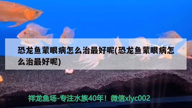 恐龍魚蒙眼病怎么治最好呢(恐龍魚蒙眼病怎么治最好呢)