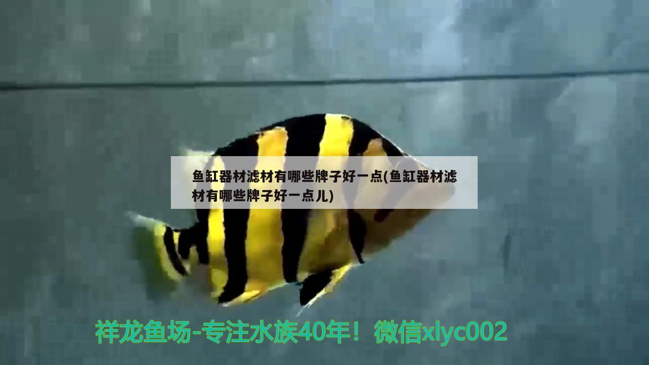 魚缸器材濾材有哪些牌子好一點(diǎn)(魚缸器材濾材有哪些牌子好一點(diǎn)兒) 藍(lán)底過背金龍魚