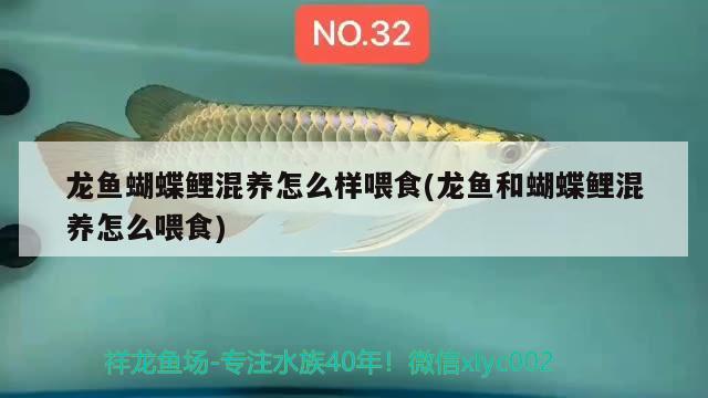 整體魚(yú)缸價(jià)格（請(qǐng)問(wèn)現(xiàn)在最新式的魚(yú)缸多少錢） 委內(nèi)瑞拉奧里諾三間魚(yú)苗 第1張