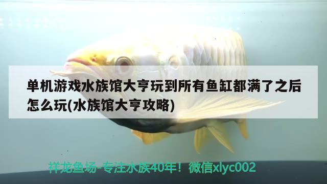 單機(jī)游戲水族館大亨玩到所有魚(yú)缸都滿(mǎn)了之后怎么玩(水族館大亨攻略)