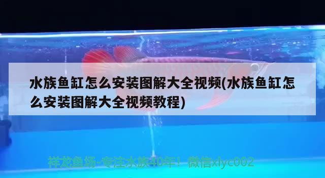 亞克力可以做魚缸底座嗎（亞克力魚缸底部需要填充嗎） 白子銀版魚苗 第2張