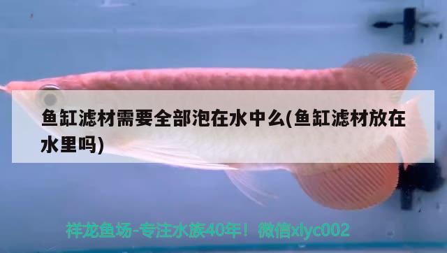 青縣哪里有賣魚缸的店（副總辦公室效果圖） 除藻劑 第2張