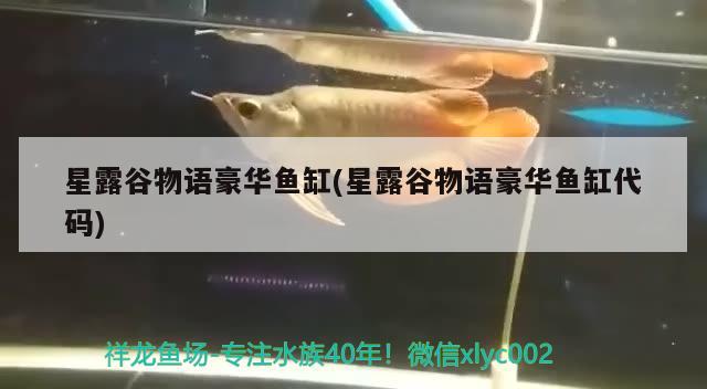 星露谷物語豪華魚缸(星露谷物語豪華魚缸代碼) 巴西亞魚苗