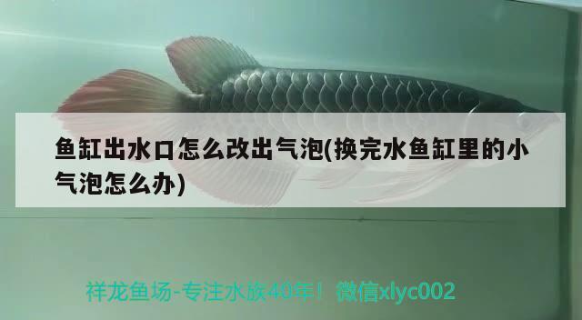 魚缸出水口怎么改出氣泡(換完水魚缸里的小氣泡怎么辦) 和尚魚