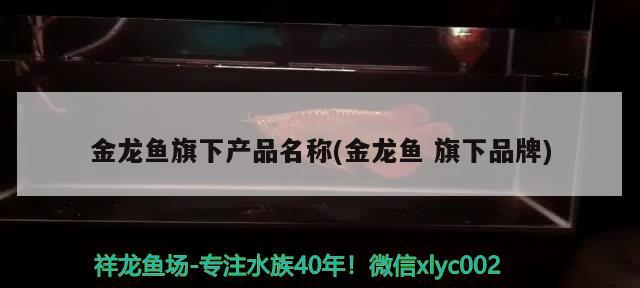 四川本地觀賞魚，四川本地觀賞魚有哪些 網(wǎng)上購買觀賞魚 第2張