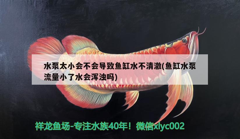 水泵太小會(huì)不會(huì)導(dǎo)致魚缸水不清澈(魚缸水泵流量小了水會(huì)渾濁嗎) 魚缸水泵