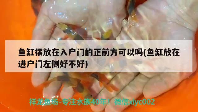 魚缸擺放在入戶門的正前方可以嗎(魚缸放在進(jìn)戶門左側(cè)好不好)