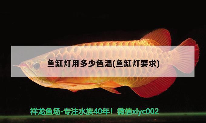 魚缸燈用多少色溫(魚缸燈要求) 黃金招財貓魚