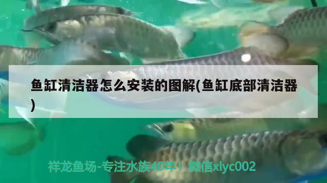 魚缸清潔器怎么安裝的圖解(魚缸底部清潔器) 野彩魚