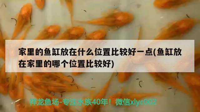 家里的魚(yú)缸放在什么位置比較好一點(diǎn)(魚(yú)缸放在家里的哪個(gè)位置比較好) 水草