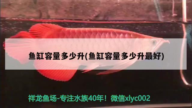 魚缸容量多少升(魚缸容量多少升最好) 黃金斑馬魚