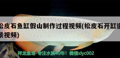 松皮石魚缸假山制作過程視頻(松皮石開缸造景視頻) 廣州祥龍國際水族貿(mào)易