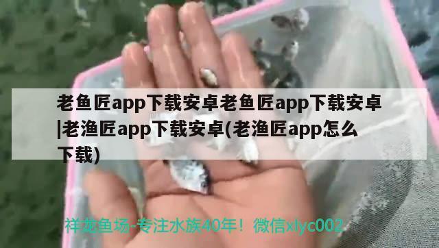 老魚匠app下載安卓老魚匠app下載安卓|老漁匠app下載安卓(老漁匠app怎么下載) 老魚匠