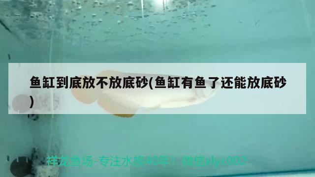 魚缸到底放不放底砂(魚缸有魚了還能放底砂) 水族雜談 第1張