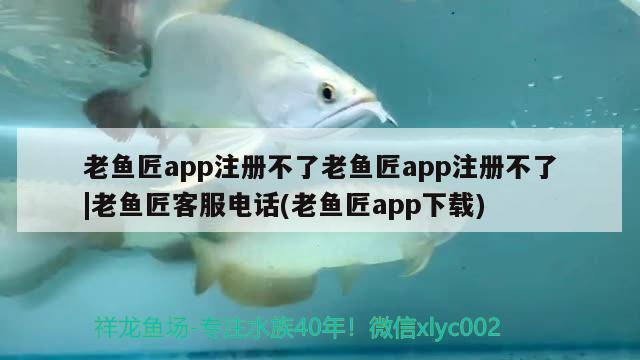 老魚(yú)匠app注冊(cè)不了老魚(yú)匠app注冊(cè)不了|老魚(yú)匠客服電話(老魚(yú)匠app下載) 老魚(yú)匠