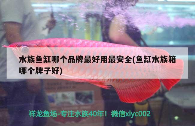 水族魚缸哪個(gè)品牌最好用最安全(魚缸水族箱哪個(gè)牌子好)